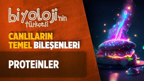 Canlıların Temel Bileşenleri | Proteinler | TYT Biyoloji | 9. Sınıf Biyoloji