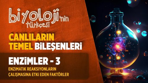 TYT Biyoloji : Enzimlerin Çalışmasına Etki Eden Faktörler